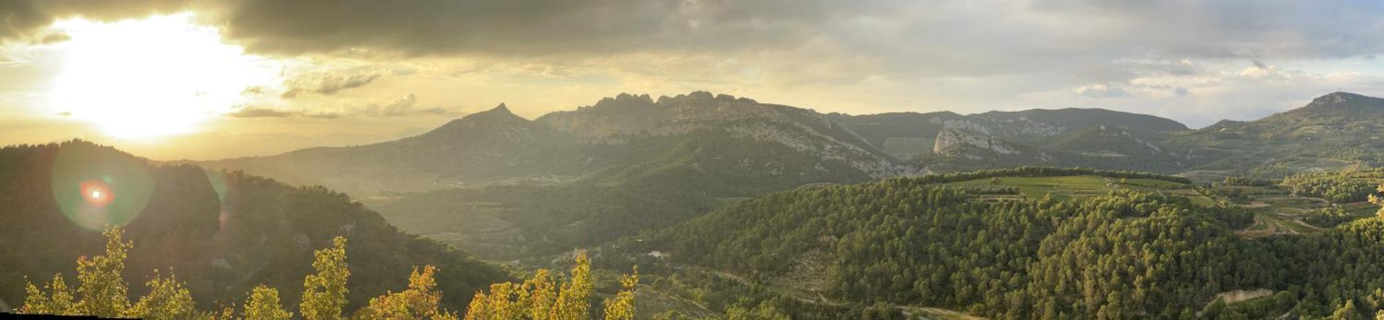 Le Chant Des Cigales LʼIsle-sur-la-Sorgue Eksteriør bilde